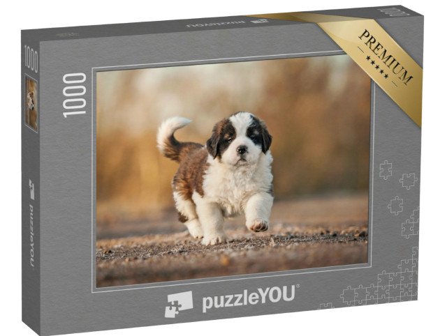Puzzel 1000 stukjes „Sint Bernard puppy“
