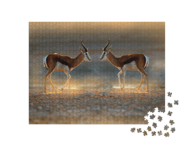 Puzzel 1000 stukjes „Springbokantilope bij zonsondergang, Namibië“