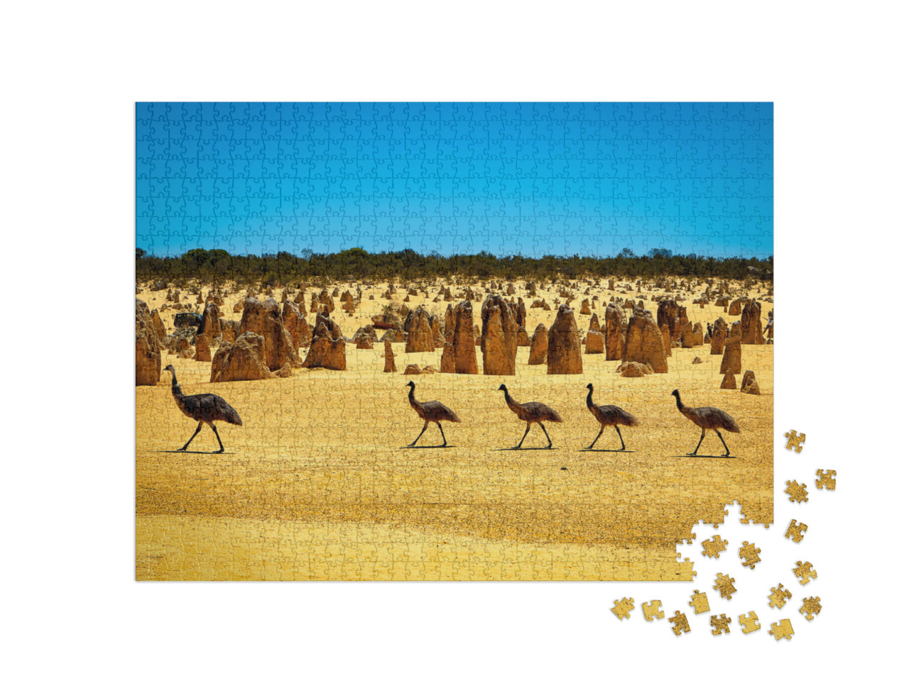 Puzzel 1000 stukjes „Emoes in de Pinnacles-woestijn, WA, Australië“