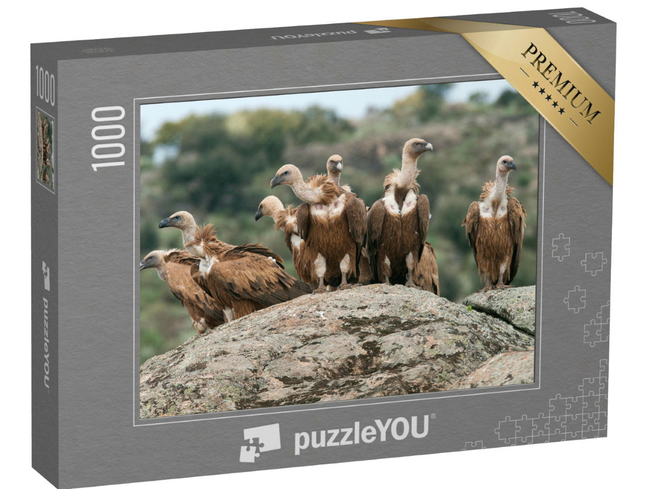 Puzzel 1000 stukjes „Vale gier“