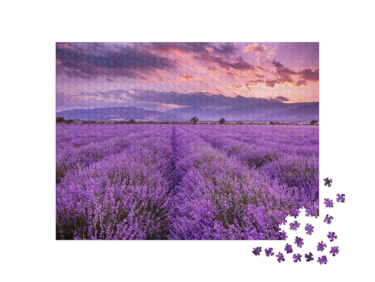 Puzzel 1000 stukjes „Zonsondergang boven een prachtig lavendelveld“