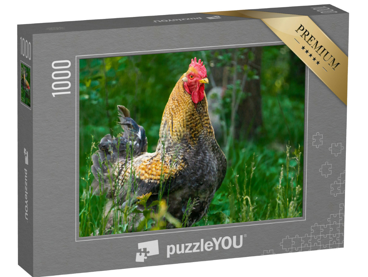 Puzzel 1000 stukjes „Trotse haan in een weiland“