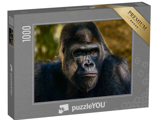 Puzzel 1000 stukjes „Portret van een zilverruggorilla“