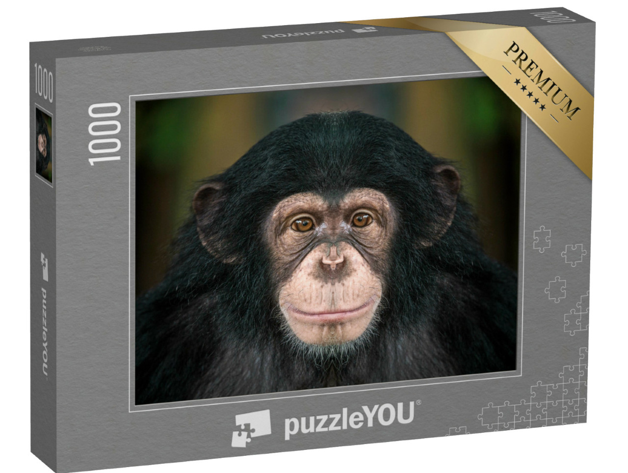 Puzzel 1000 stukjes „Chimpansees“