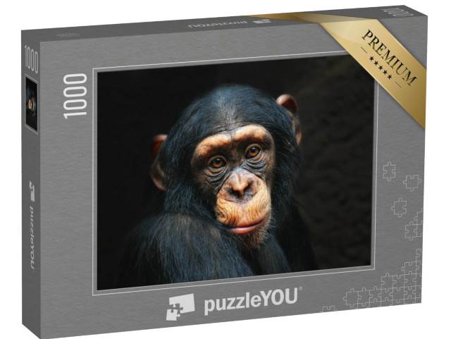 Puzzel 1000 stukjes „Portret van een chimpansee“