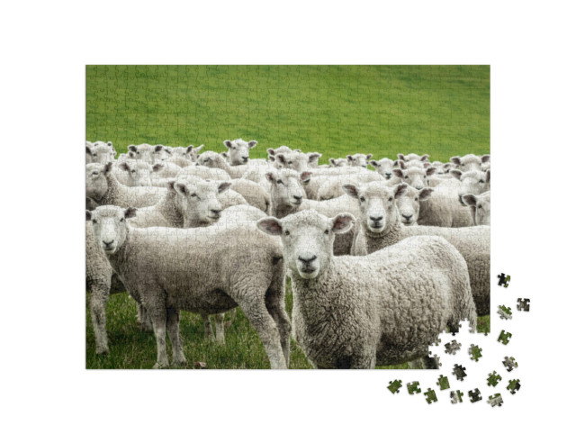 Puzzel 1000 stukjes „Kudde schapen“