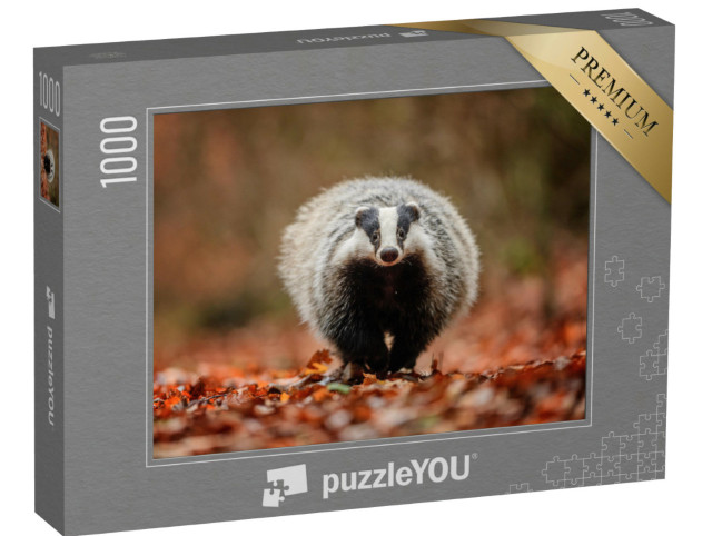Puzzel 1000 stukjes „Das in het bos“
