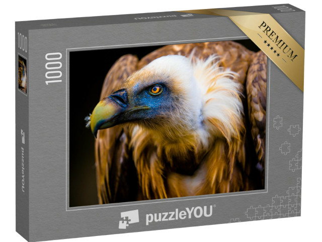 Puzzel 1000 stukjes „Portret van een jonge gier“