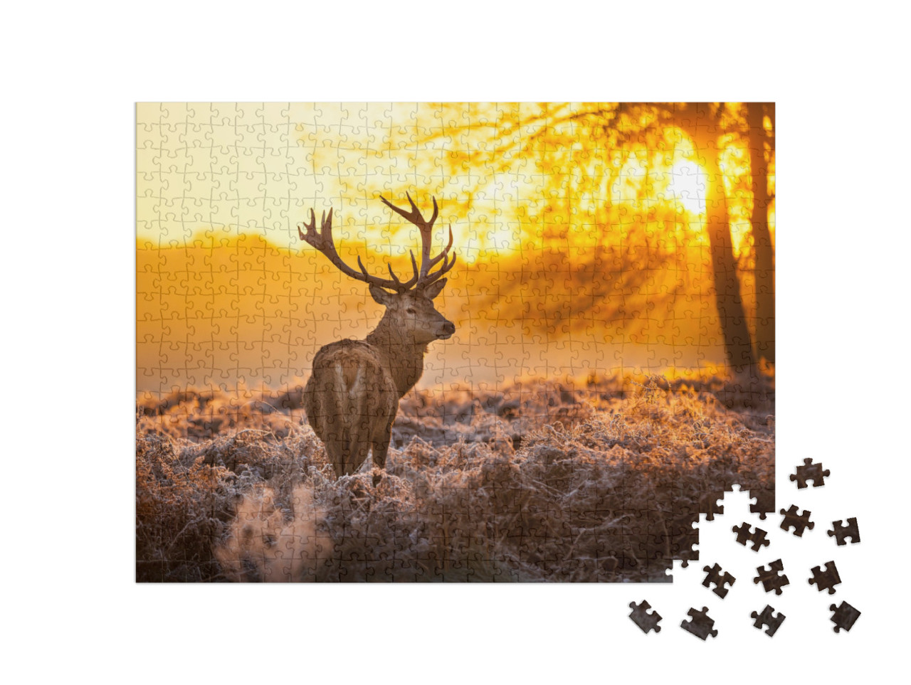 Puzzel 500 stukjes „Edelherten in de ochtendzon“
