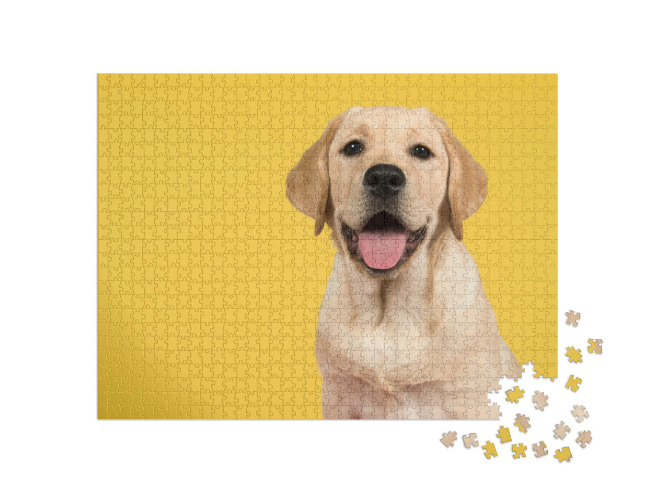 Puzzel 1000 stukjes „Portret van een gouden Labrador retriever“