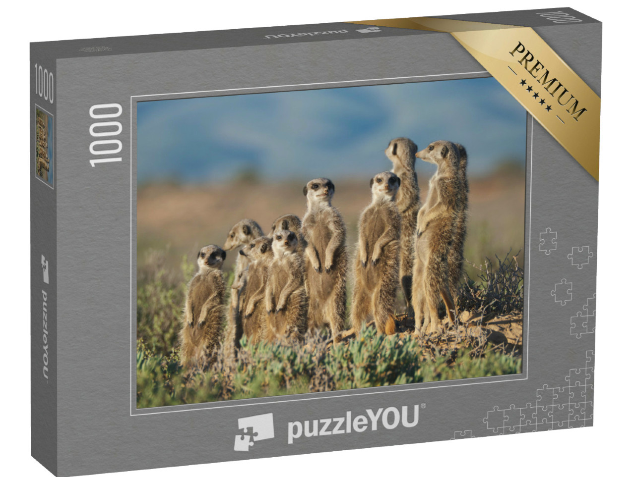 Puzzel 1000 stukjes „Stokstaartjesfamilie in Zuid-Afrika“