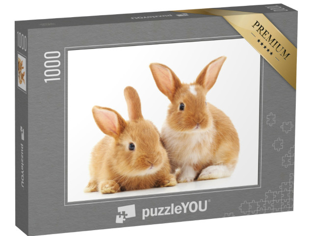 Puzzel 1000 stukjes „Twee kleine lichtbruine konijnen“