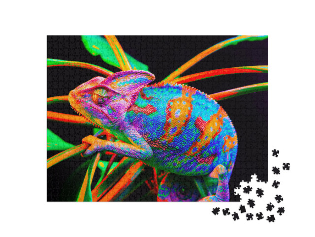 Puzzel 1000 stukjes „Kameleonhagedis op de groene bladeren“
