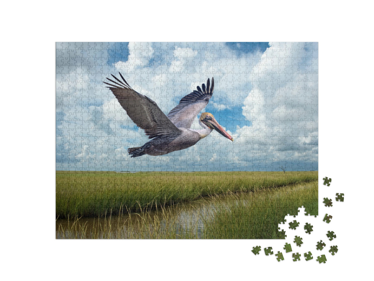 Puzzel 1000 stukjes „Bruine pelikaan in vlucht boven moerassen bij Grand Isle Louisiana“