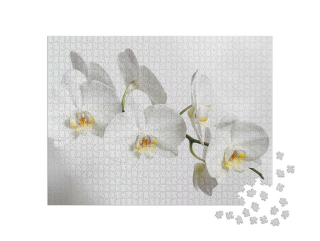 Puzzel 1000 stukjes „Betoverende witte orchidee“