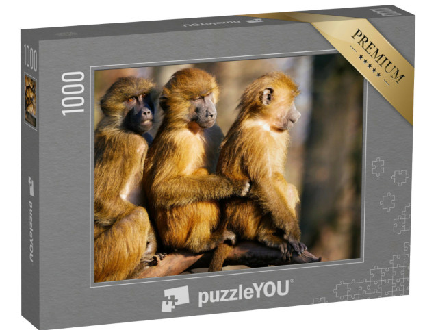Puzzel 1000 stukjes „Baviaan familie“