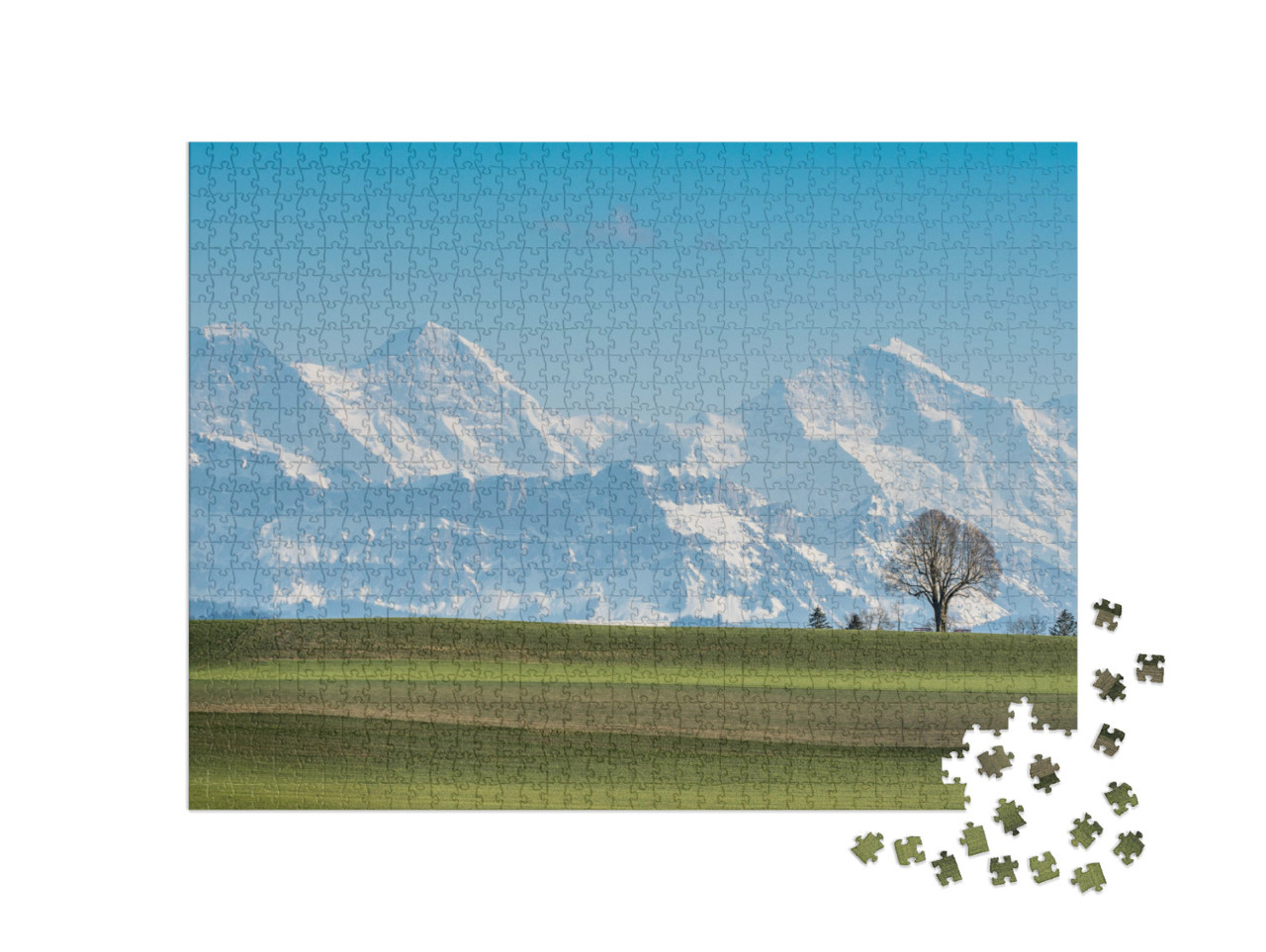 Puzzel 1000 stukjes „Boom voor de Eiger, Mönch en Jungfrau op een mooie lentedag“