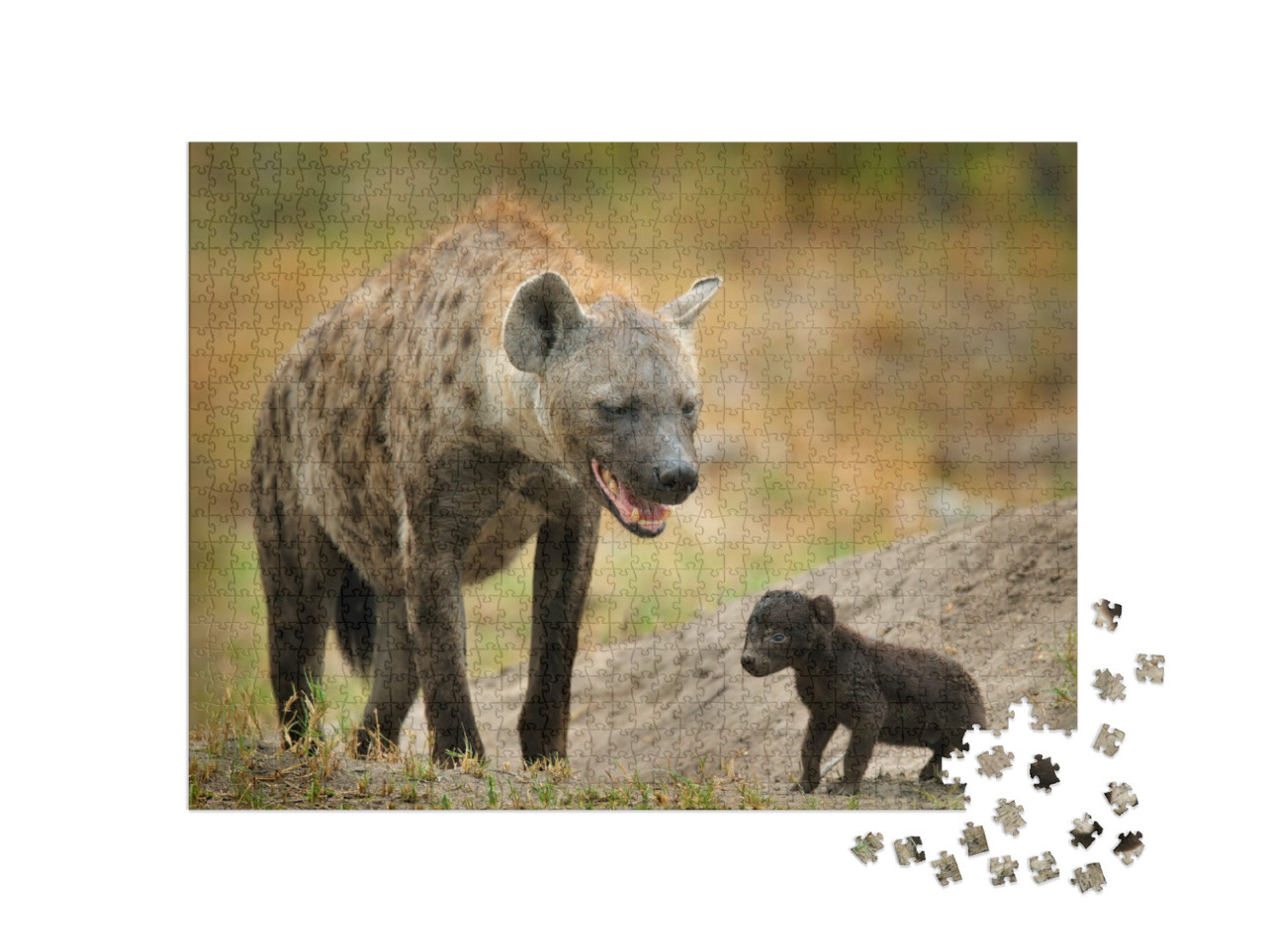Puzzel 1000 stukjes „Pasgeboren hyena welp met zijn moeder, Okavango, Botswana“