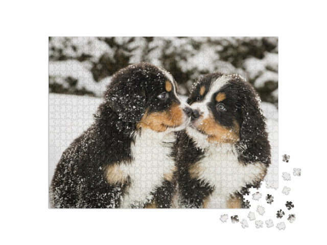 Puzzel 1000 stukjes „Berner Sennenhond puppy's bestrooid met sneeuw“