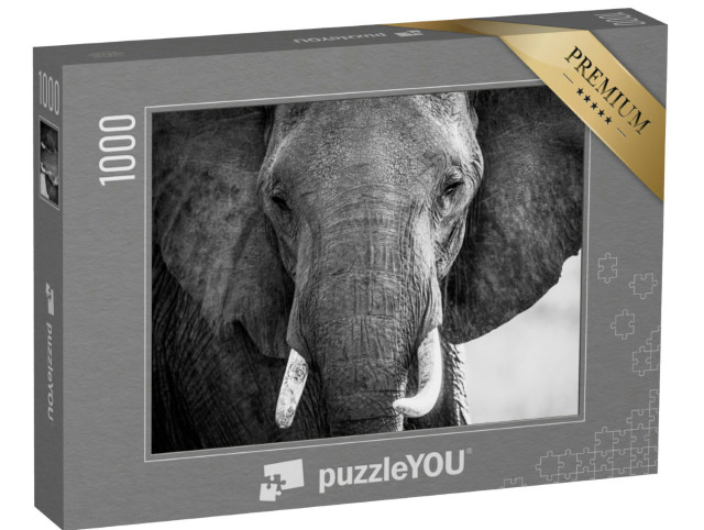 Puzzel 1000 stukjes „Olifantenslurf en ivoor met gezicht in de Masai Mara in Kenia“