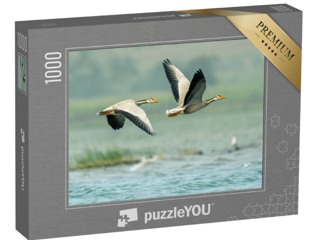 Puzzel 1000 stukjes „Witpootganzen boven de meren van Bhigwan, India“