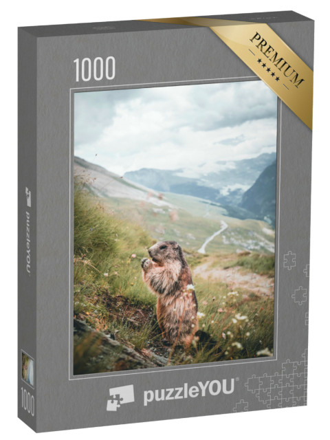 Puzzel 1000 stukjes „Alpenmarmot op een berghelling in Oostenrijk“
