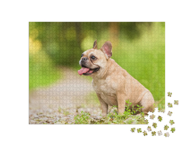 Puzzel 1000 stukjes „Close-up van een Franse Bulldog“