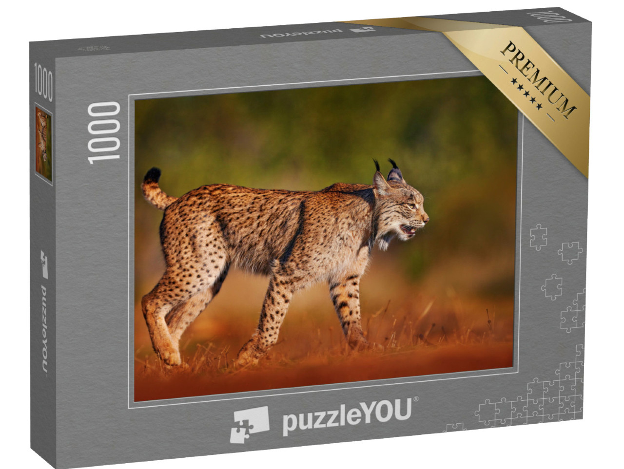 Puzzel 1000 stukjes „Iberische lynx, wilde kat op het Iberisch schiereiland“