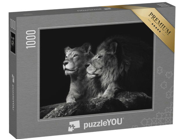 Puzzel 1000 stukjes „Een paar leeuwen“