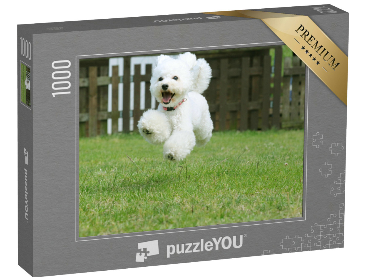 Puzzel 1000 stukjes „Witte dwergpoedel speelt in de tuin“