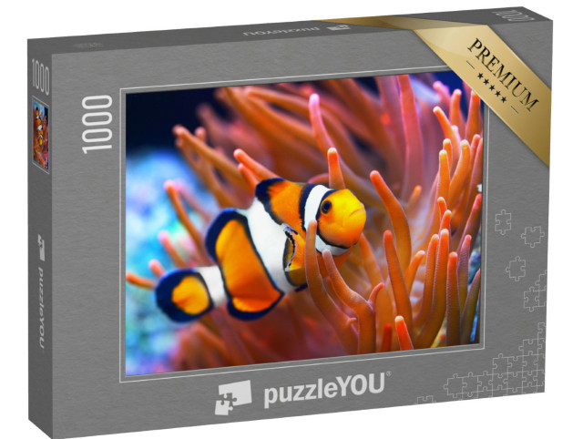 Puzzel 1000 stukjes „Amphiprion ocellaris, clownvis, zee“