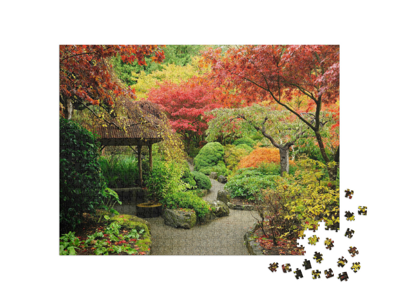 Puzzel 1000 stukjes „Japanse herfsttuin in Vancouver Island, Canada“