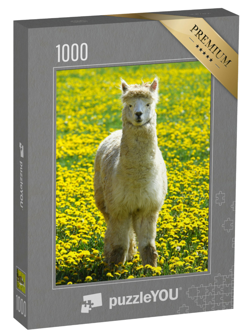 Puzzel 1000 stukjes „Een alpaca in een zomerweide met gele bloemen“