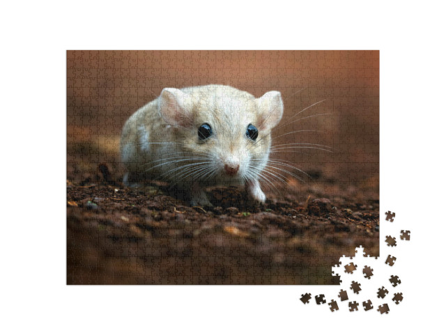Puzzel 1000 stukjes „Schattige gerbil met grote donkere ogen“