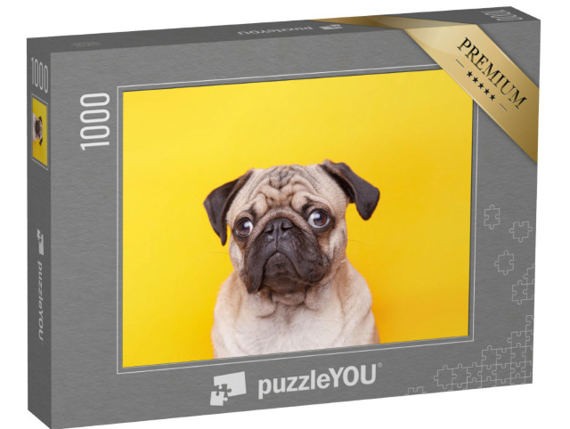Puzzel 1000 stukjes „Mopshond met zilveren ogen en een schattig gezicht“