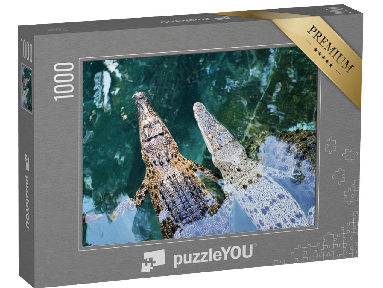 Puzzel 1000 stukjes „Jonge Australische krokodillen in Darwin, Australië“