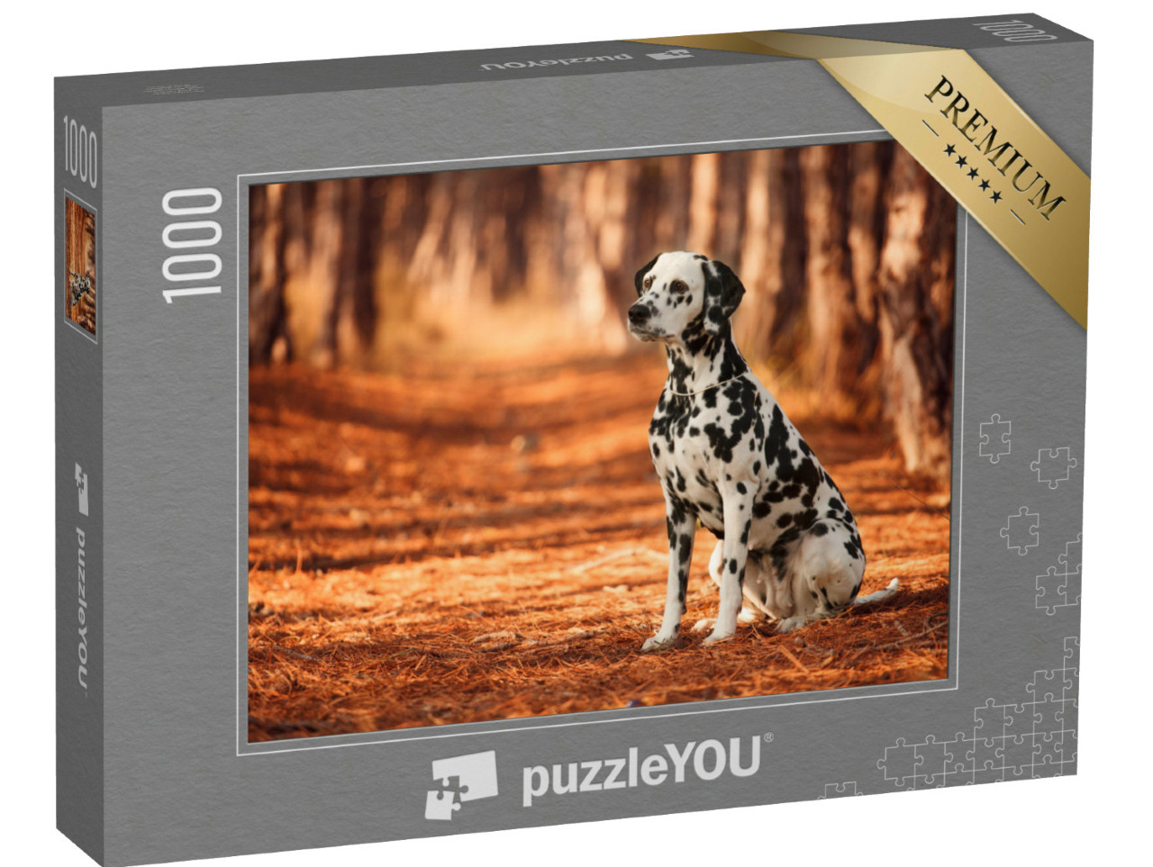 Puzzel 1000 stukjes „Dalmatische hondenras tijdens een wandeling“