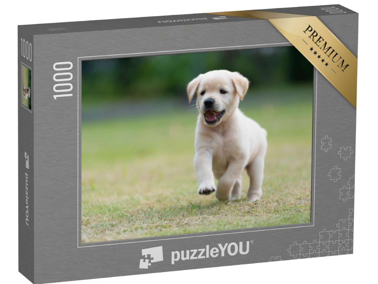 Puzzel 1000 stukjes „Puppy spelen“