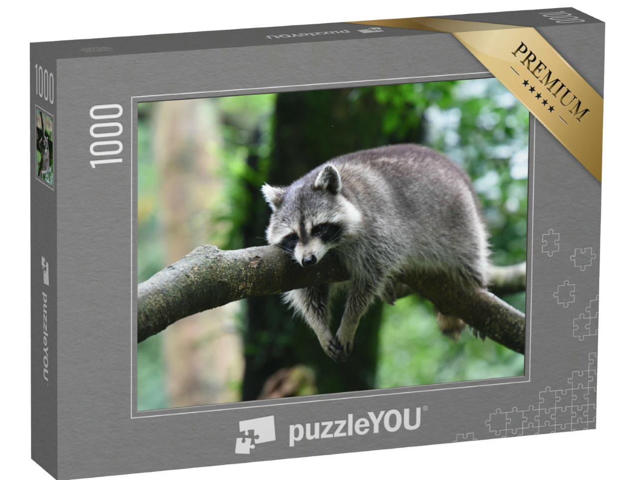 Puzzel 1000 stukjes „Ontspannen wasbeer neemt pauze op een tak“