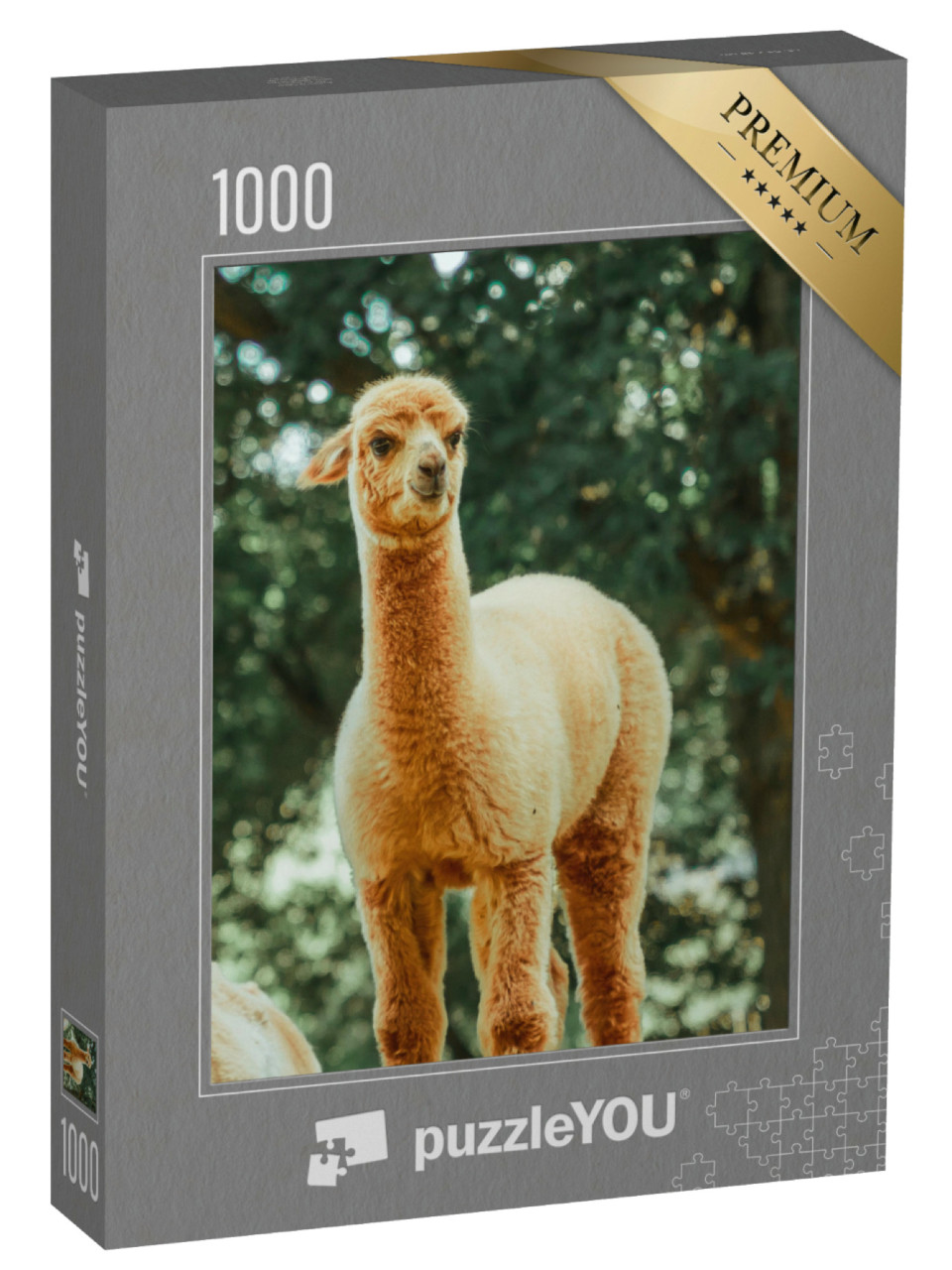 Puzzel 1000 stukjes „De lama, een tam zoogdier dat wijdverspreid is in Zuid-Amerika“