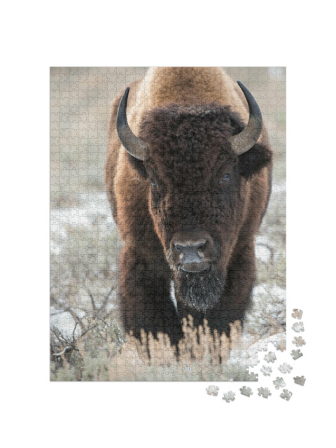 Puzzel 1000 stukjes „Een bizon, buffel“