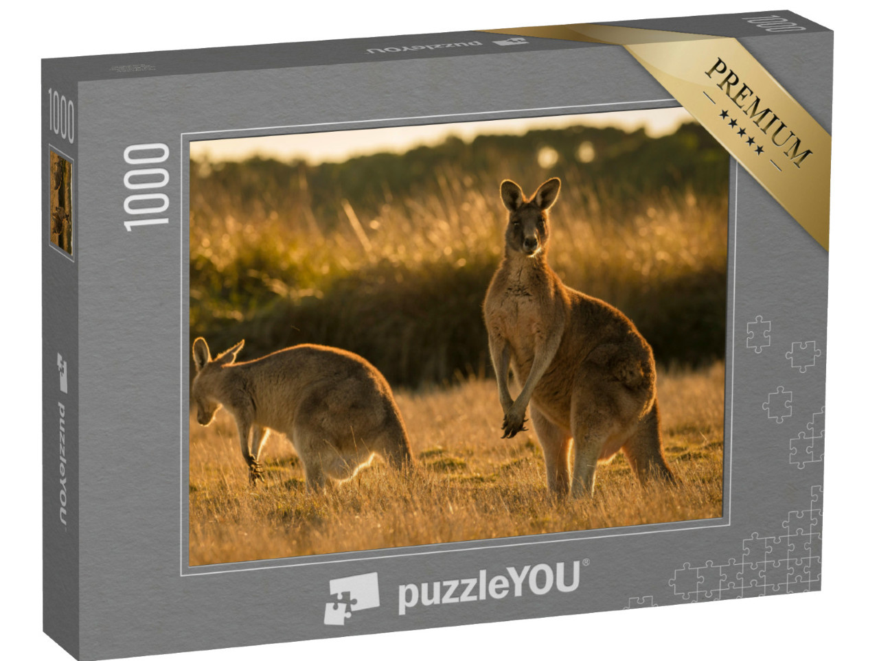 Puzzel 1000 stukjes „Kangoeroe bij zonsondergang, open veld“