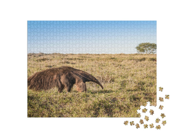 Puzzel 1000 stukjes „Een wilde reuzenmiereneter in de wei“