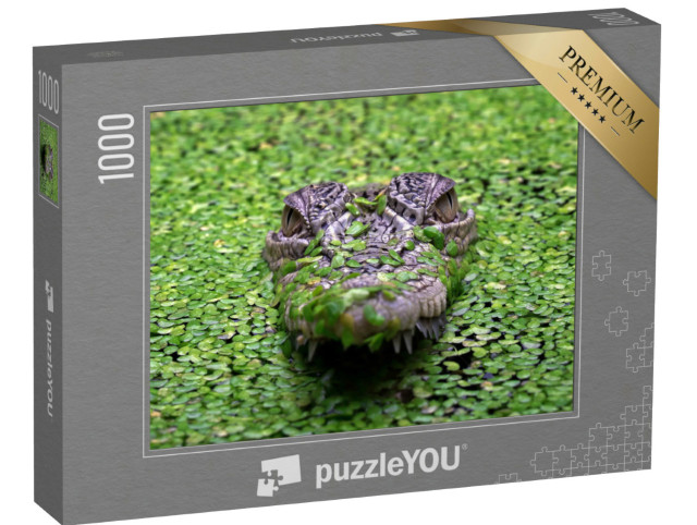 Puzzel 1000 stukjes „De zoutwaterkrokodil, Crocodylus porosus“