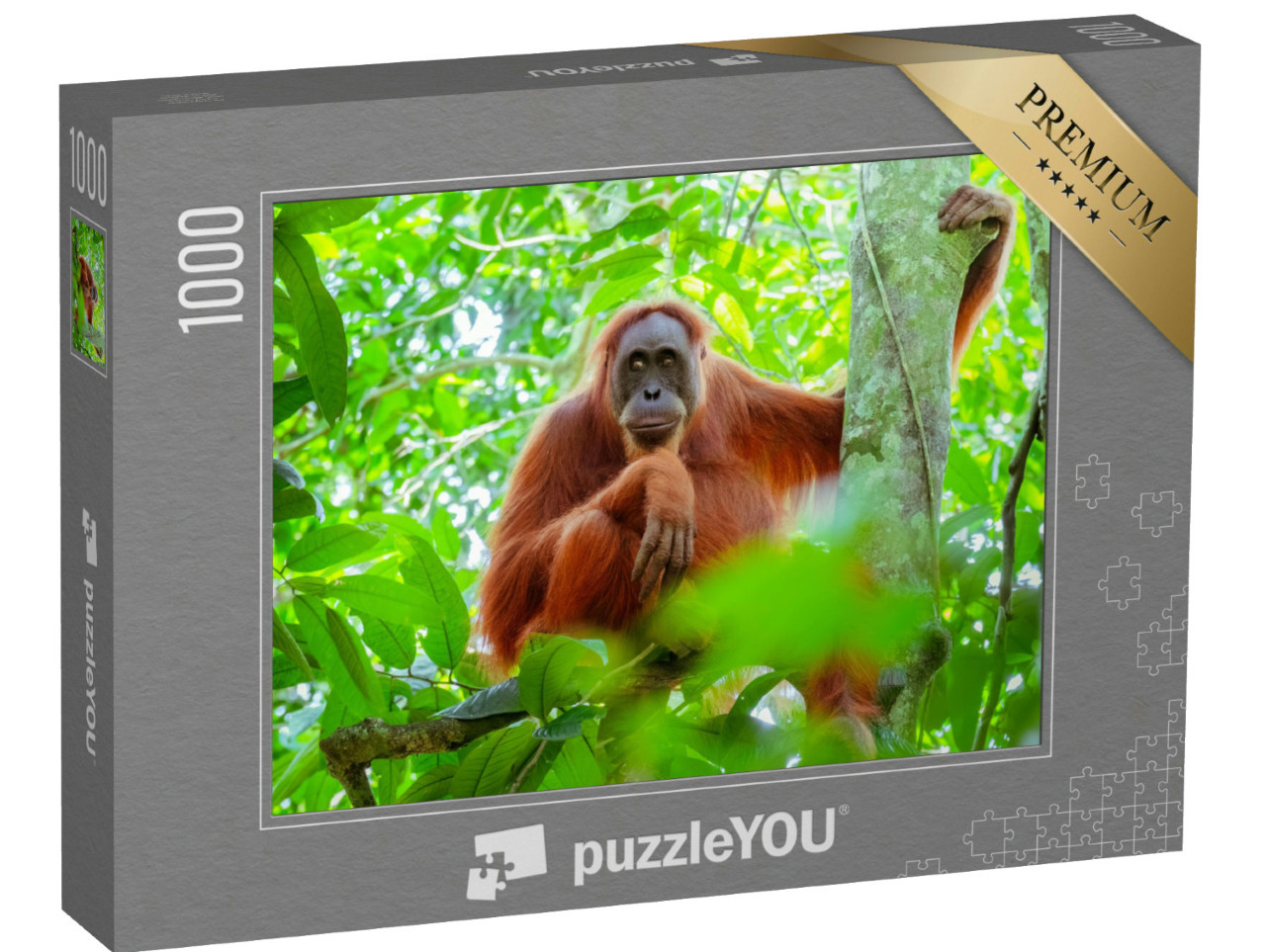 Puzzel 1000 stukjes „Vrouwelijke orang-oetan zittend op een boomstam, Indonesië“