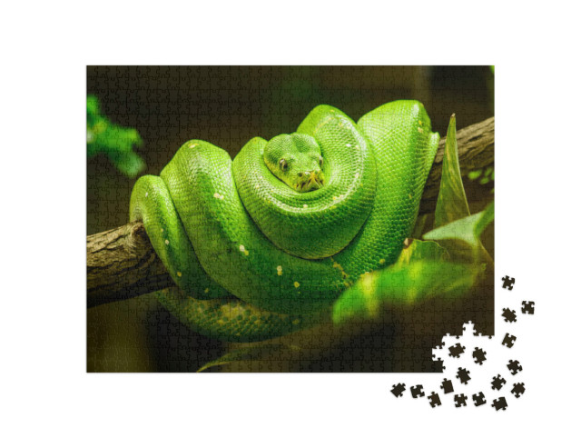 Puzzel 1000 stukjes „Groene slang op de tak“