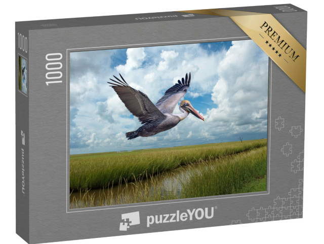 Puzzel 1000 stukjes „Bruine pelikaan in vlucht boven moerassen bij Grand Isle Louisiana“