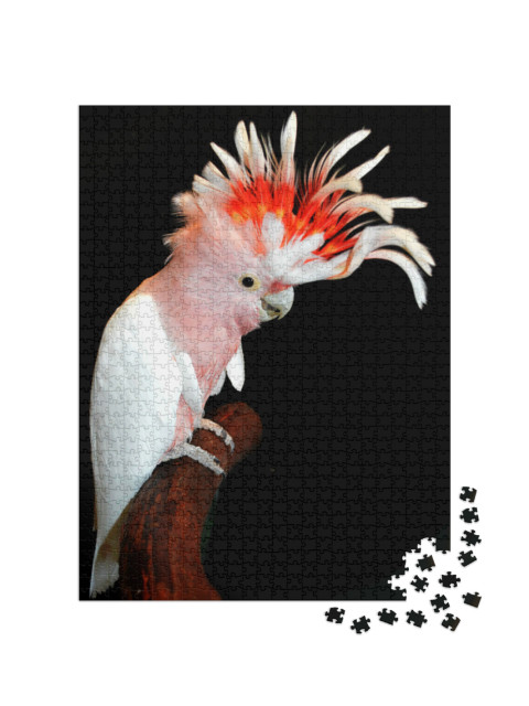 Puzzel 1000 stukjes „Roze kaketoe uit Australië“