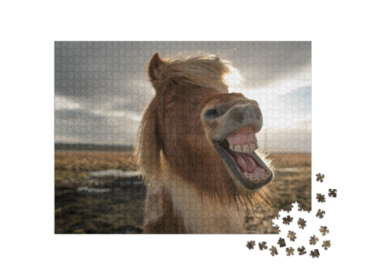 Puzzel 1000 stukjes „Wild IJslands paard“