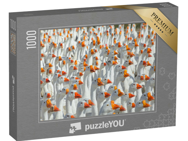 Puzzel 1000 stukjes „Enorme troep witte ganzen“